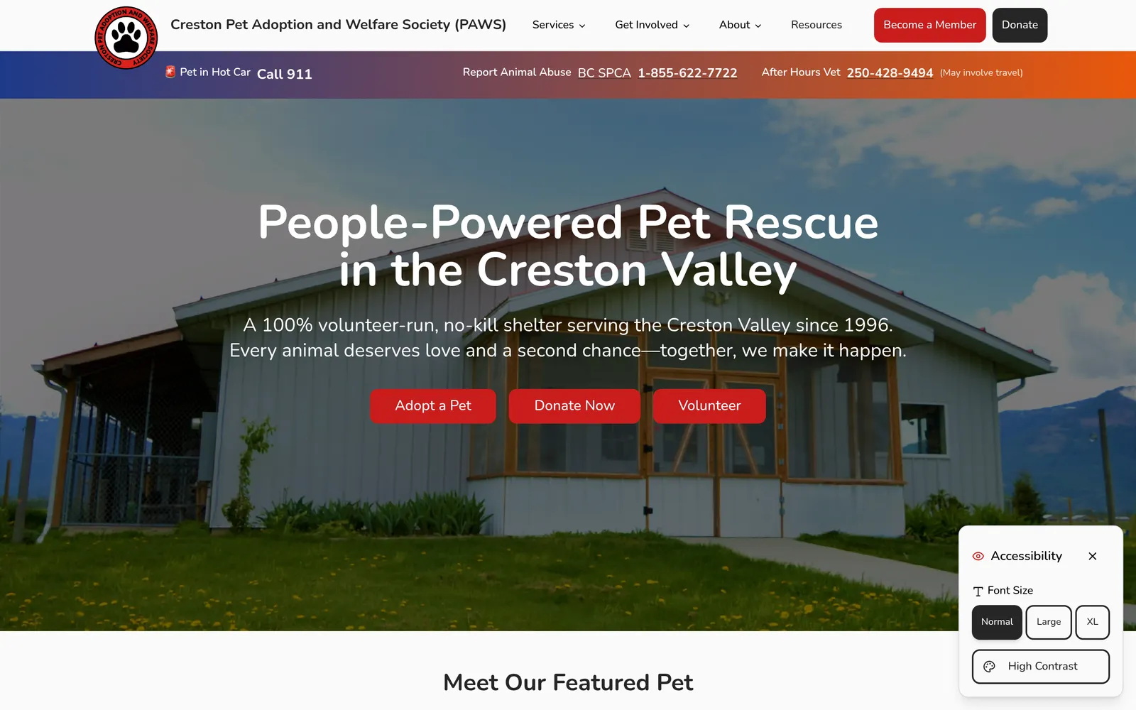 Creston Paws website